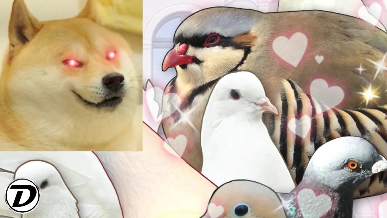 Duke Plays Hatoful Boyfriend