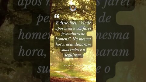 Mateus 4,19-20 - E disse-lhes: “Vinde após mim e vos farei pescadores de homens”. Na mesma hora, aba