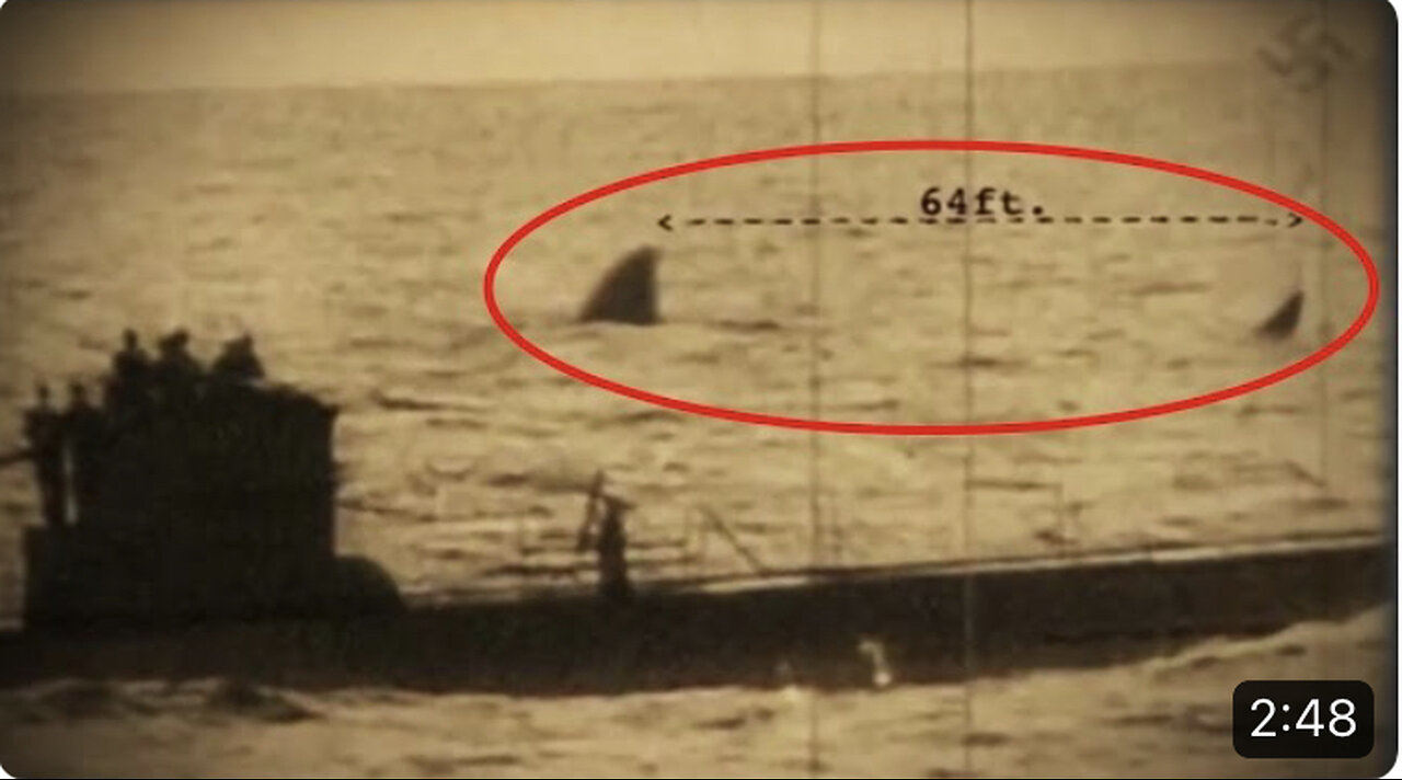 Secret Nazi Photo Reveals Megalodon