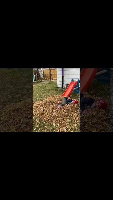 Daughter's Fall Fun Leaf Pile Dive