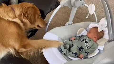 CUTEST Pets of the Year! | BEST Dogs & Cats