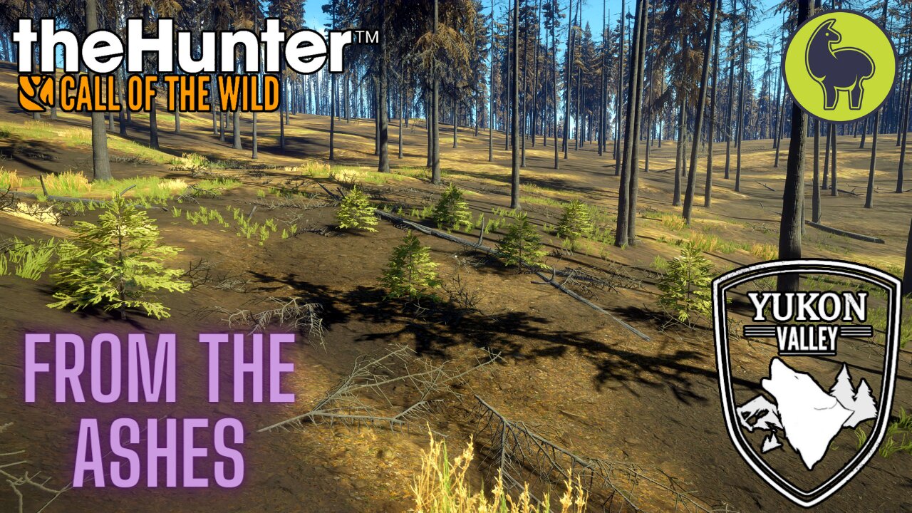 From the Ashes, Yukon Valley | theHunter: Call of the Wild (PS5 4K)