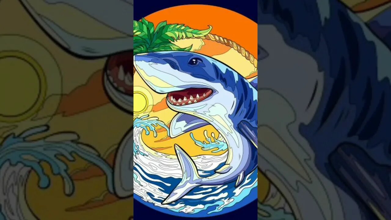 Here is a shark
