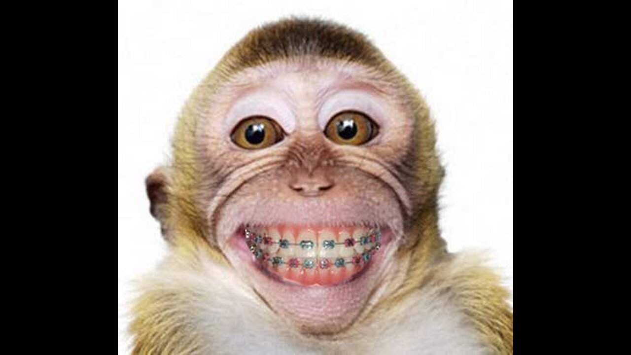 "Laugh Riot Chronicles: The Wacky World of Chuckles"