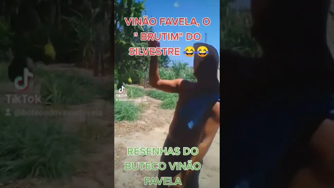 colhendo Jurema na mangueira 😂😂😂😂