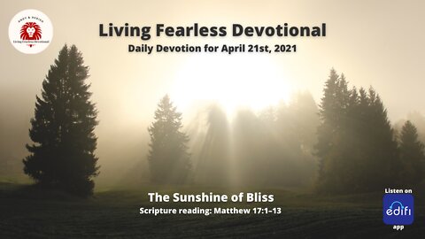 The Sunshine of Bliss