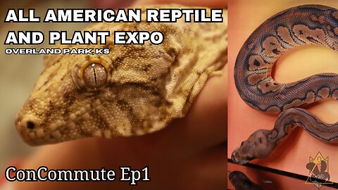 Vlogging At The BIGGEST Reptile And Plant Expo In KC | ConCommute Ep1