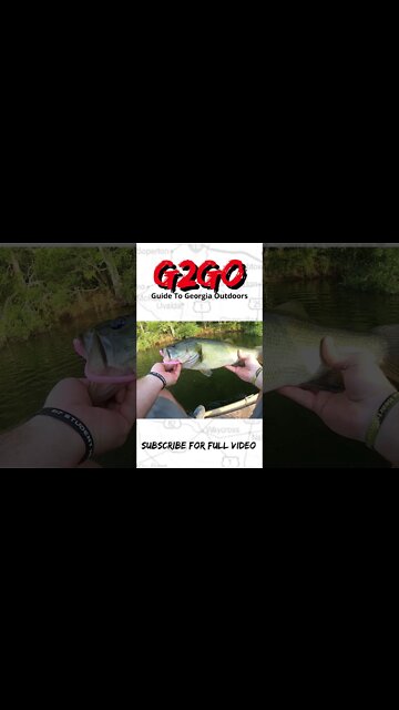 Surprise Catch on the Trick Worm! #shorts