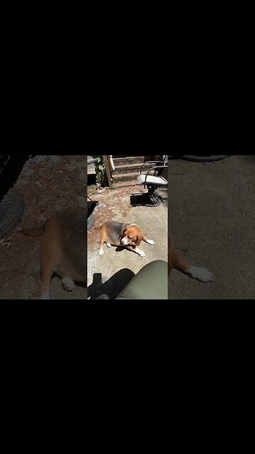 Banchee and I discuss the HEAT outside