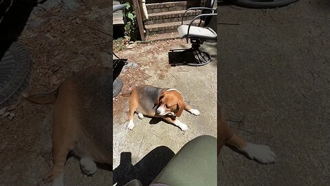Banchee and I discuss the HEAT outside