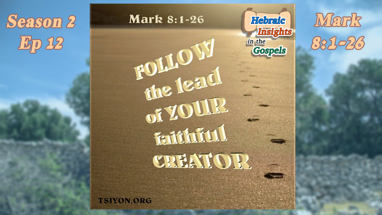 Mark 8:1-26 - Follow the Lead of Your Faithful Creator - HIG S2 Episode 12