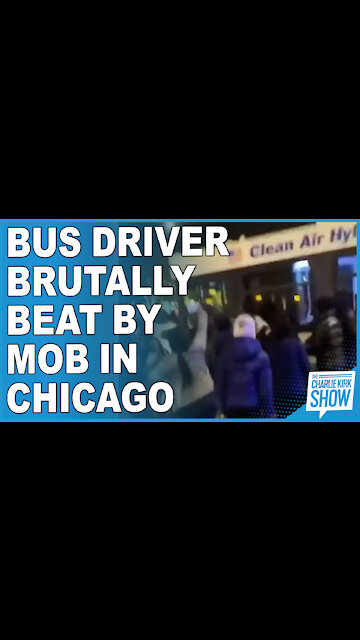 Bus Driver Brutally Beat By Mob In Chicago