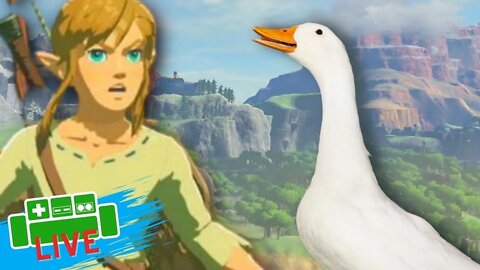 Zelda BOTW But I'm A GOOSE.