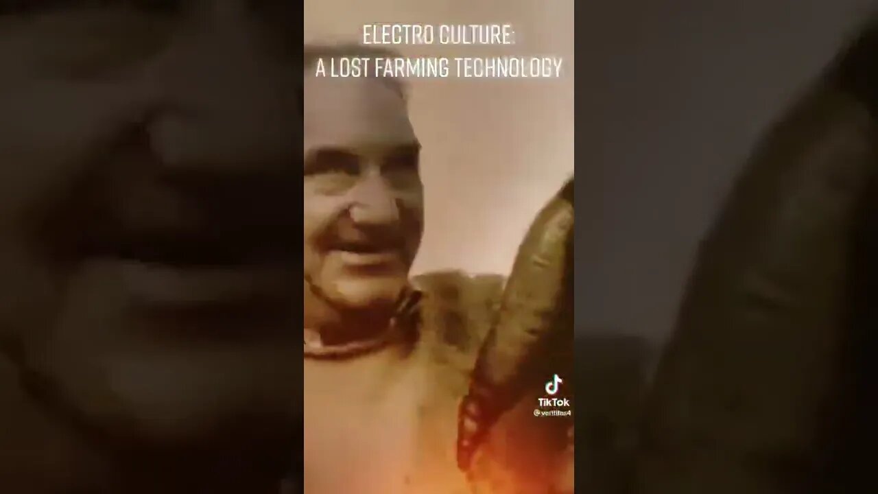 Electro Culture