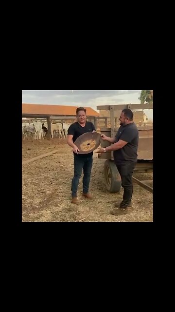 #Shorts Cantor Leonardo