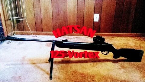 Hatsan 125 Vortex .22