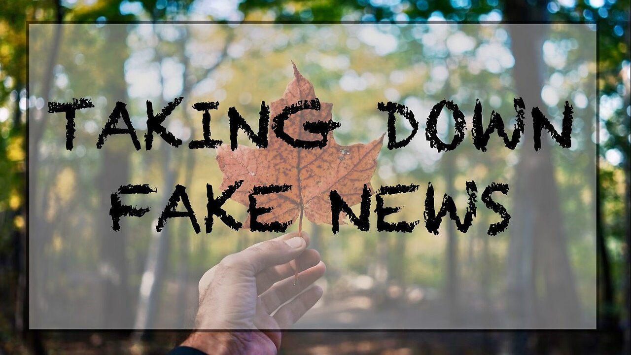 Taking down fake news