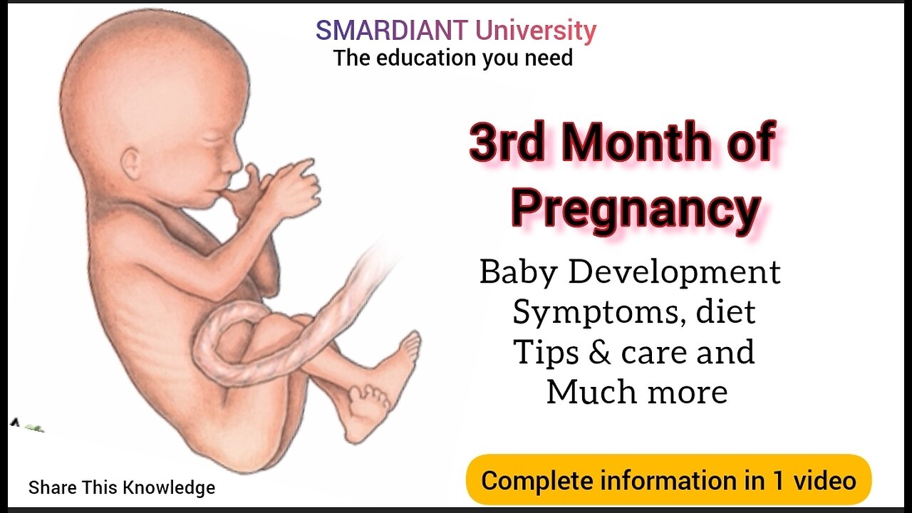 Your baby's development in 3rd month of pregnancy is. What to expect? Complete knowledge in 1 video