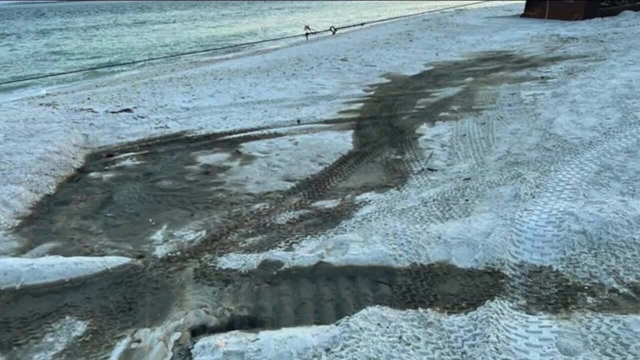 Investigation on Marco Island after Sea Turtle nest gets run over