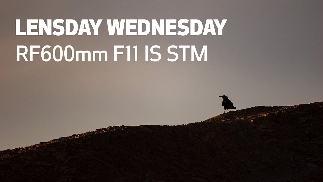 Canon - Lensday Wednesday with Calvin Anderson On the RF 600mm F11 IS STM Lens