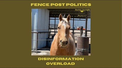 Fence Post Politics: Disinformation Overload