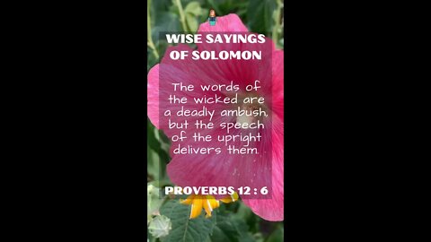 Proverbs 12:6 | Wise Sayings of Solomon