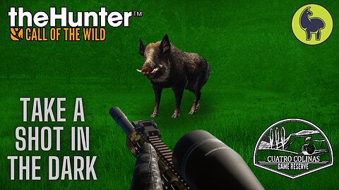 Take a Shot in the Dark, Cuatro Colinas | theHunter: Call of the Wild (PS5 4K)