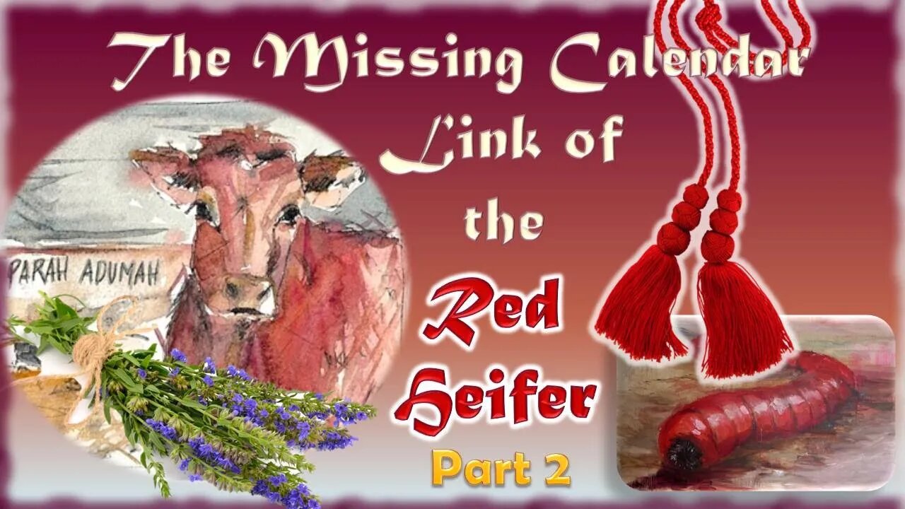 3.7 The Mystery of the Red Heifer Part 2