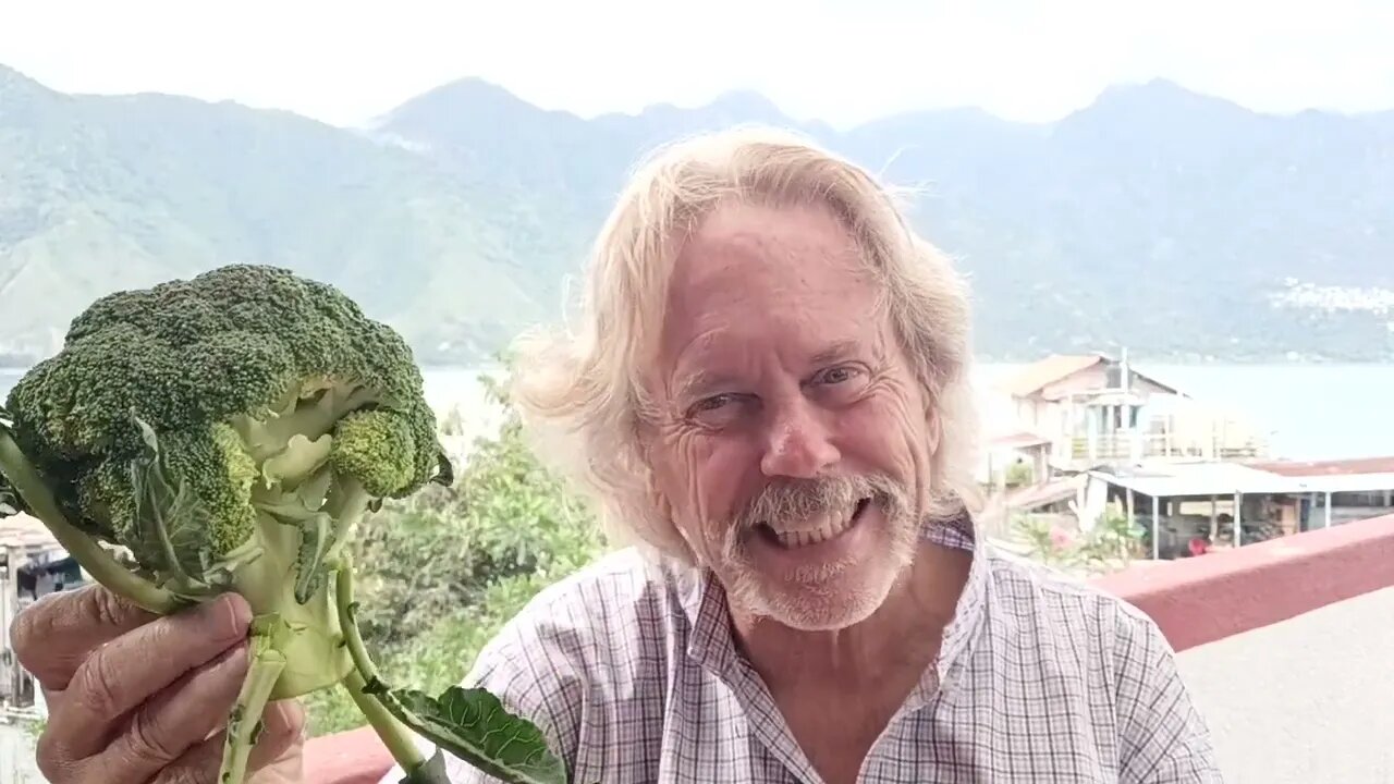 Superfoods Are Cheap $3 Today