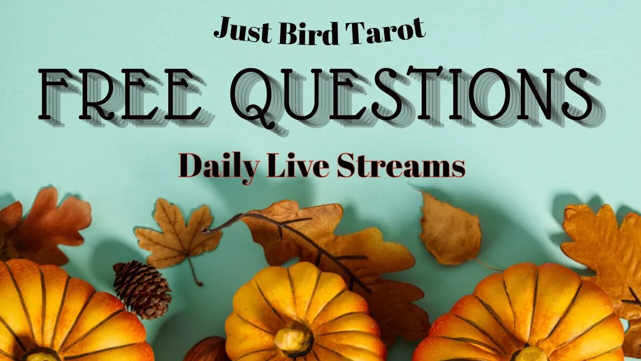 Live Tarot - FREE Questions - Read Description