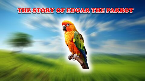 The Story of Edgar, the Cutest and MOST Hardworking Parrot!