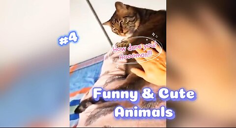 Animals you'll love 💖 and make you LAUGH all day 😍🤣 Funny animals #4