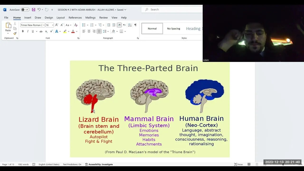 DEEPER INTO THE TRIUNE BRAIN