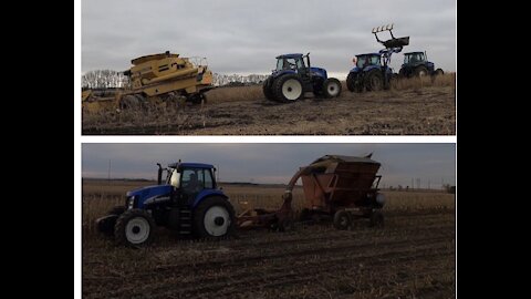 Finishing Up With Chopping Corn Silage and Trying To Combine Soybeans (I Got Stuck Bad)!