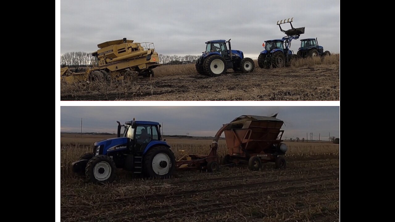 Finishing Up With Chopping Corn Silage and Trying To Combine Soybeans (I Got Stuck Bad)!