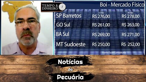 Boi gordo derrete sem encontrar piso de preços. Fêmeas no gancho