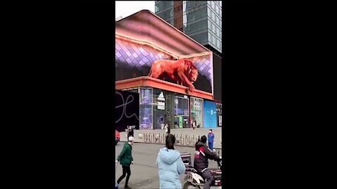 funny tiger | funny video | Short video