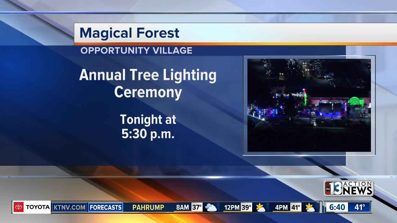 Magical Forest tree lighting ceremony