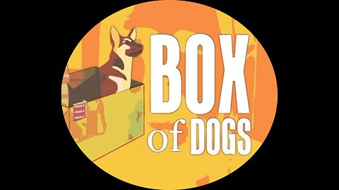 BoxOfDogs#48 - WWIII LIVE - Right Here Right Now