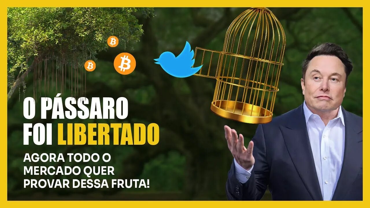 Elon Musk compra o Twitter e atrai investimento para CRIPTOMOEDAS ⚠️