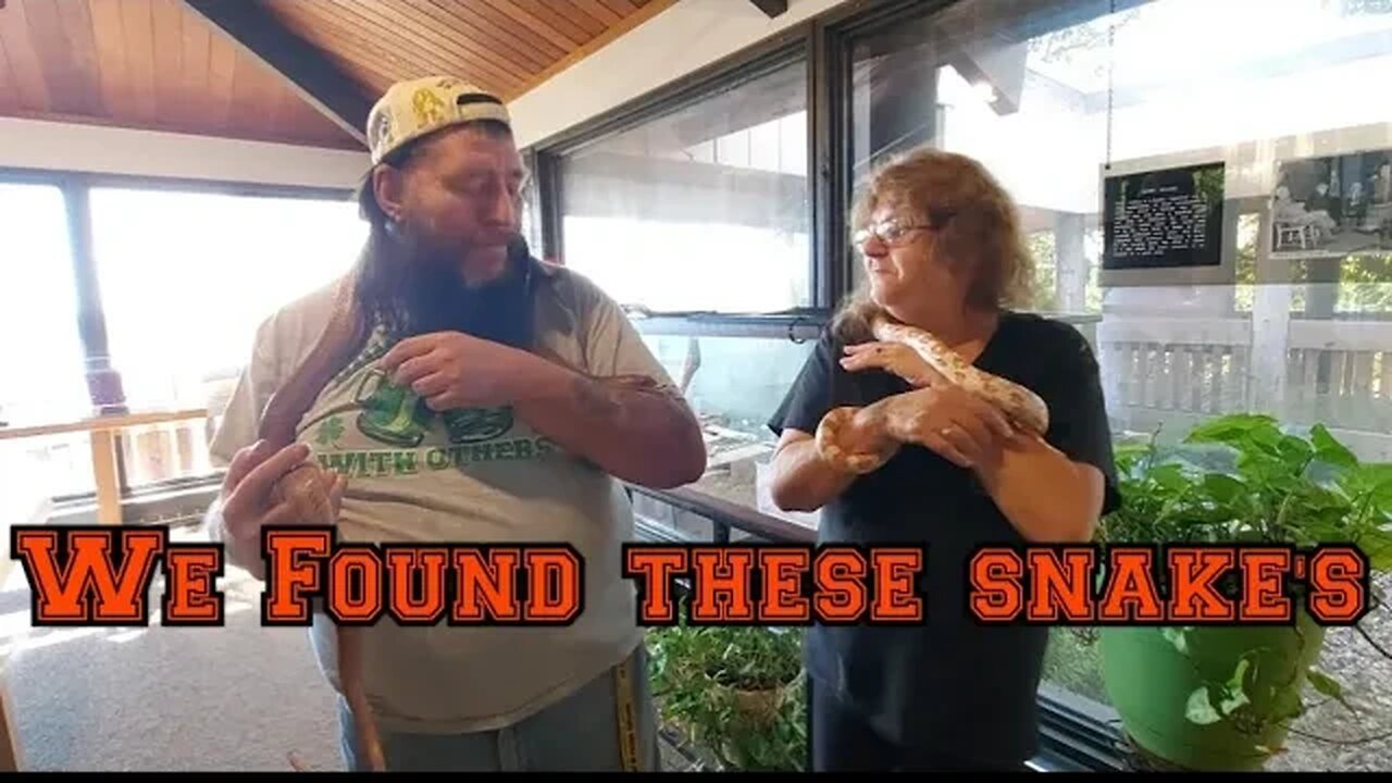 Day out 1st amendment