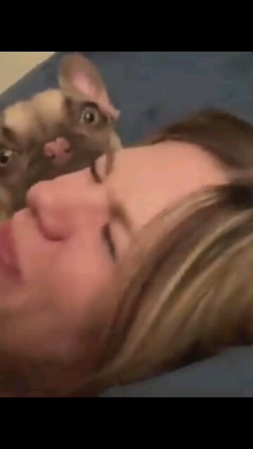 Science proves dogs want to eat humans?