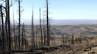 Badger Fire Frontline Workers