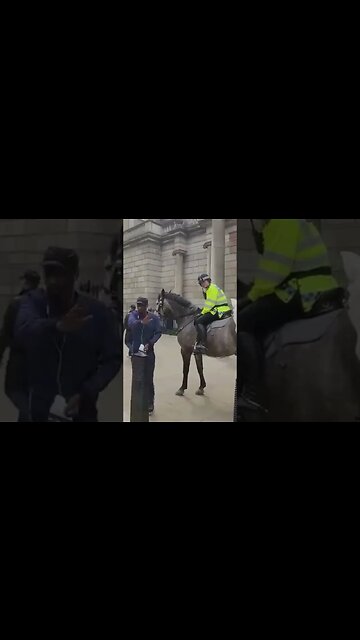your being offencesive to two soldier's #horseguardsparade