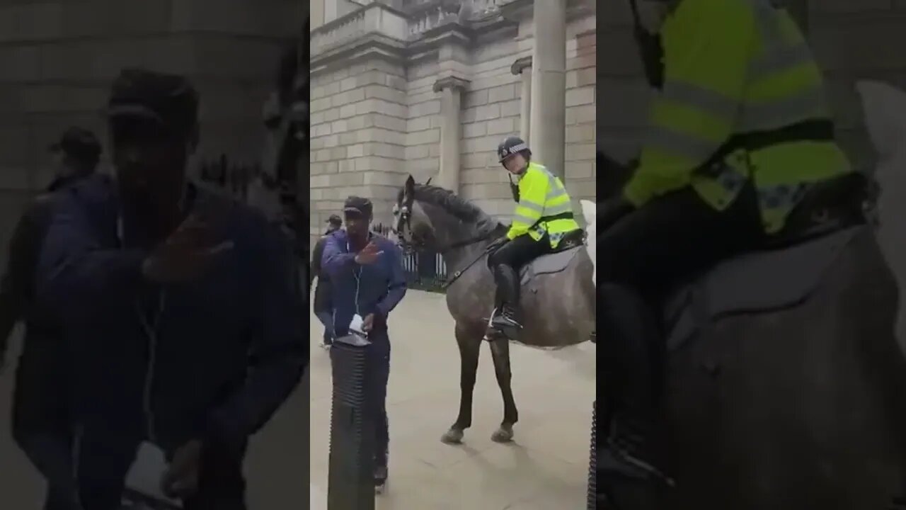 your being offencesive to two soldier's #horseguardsparade