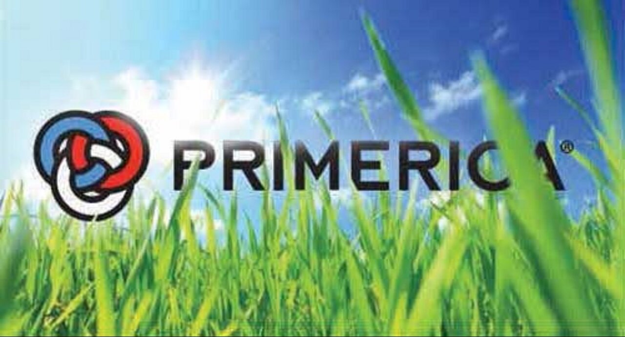 Wolfe Region Training - "The Primerica Basics" - Saturday, April 20, 2024