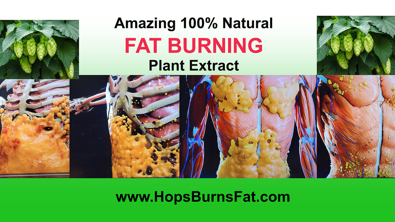 Amazing New Fat Burning Extract from Hops Plant Released