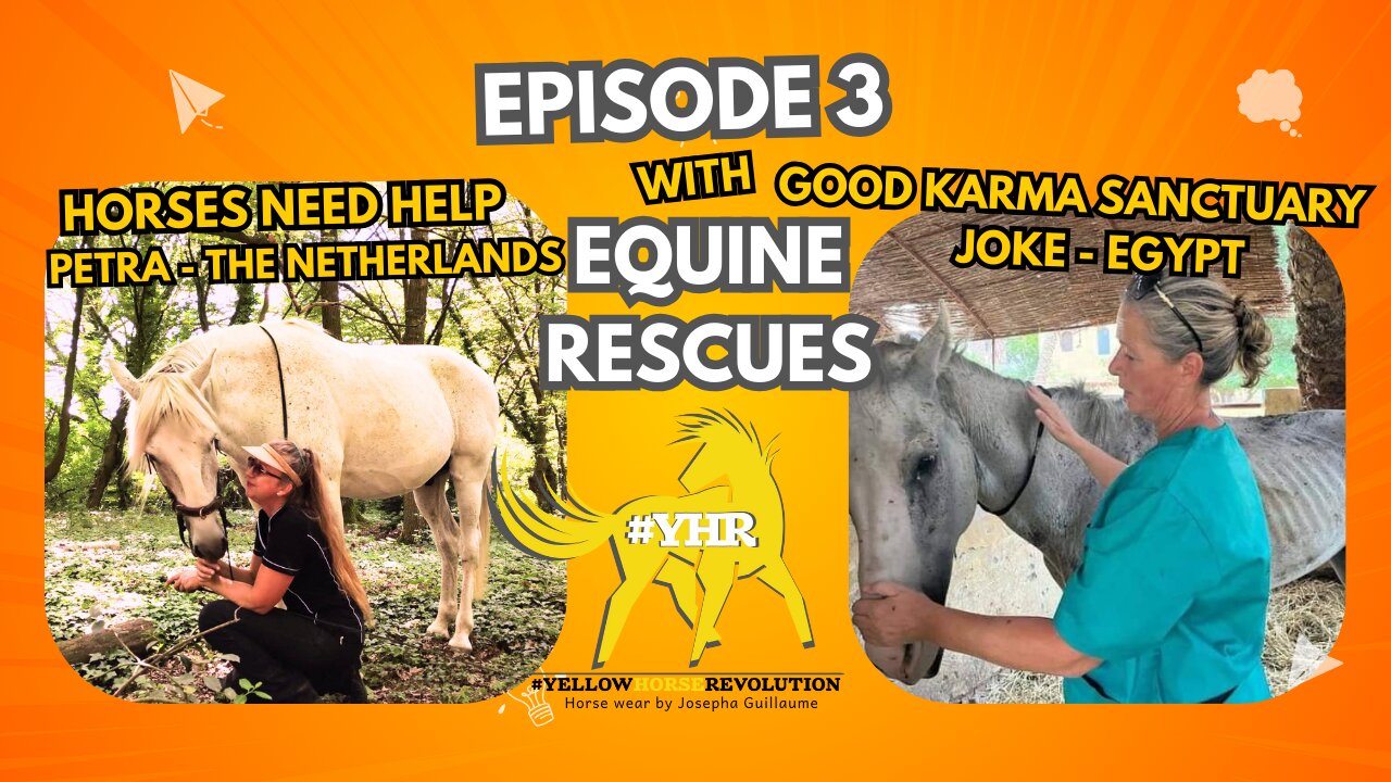 YHR Podcast EP 3 - Good Karma Sanctuary & Horses Need Help Rescue Shelter