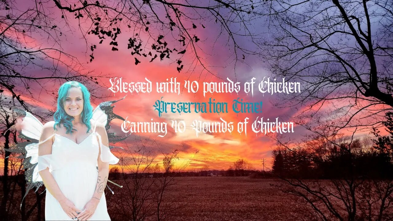 Preservation of 40 pounds of Gifted Chicken..... What Could go wrong. Plenty of things