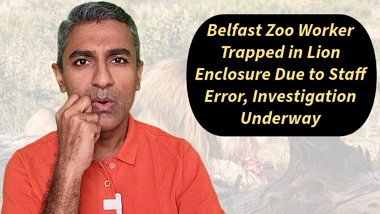 Belfast Zoo Worker Trapped in Lion Enclosure Due to Staff Error, Investigation Underway